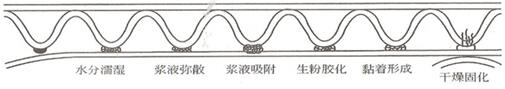 瓦楞纸板生产过程中如何选择与之匹配的浆糊配方(图2)